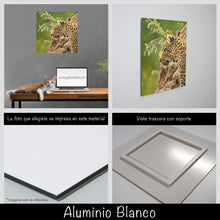 Cargar imagen en el visor de la galería, Leopardo