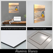 Cargar imagen en el visor de la galería, Mariposa