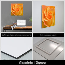 Cargar imagen en el visor de la galería, Rosa amarilla