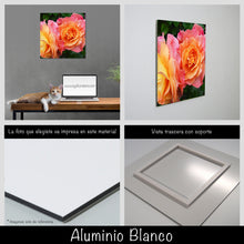 Cargar imagen en el visor de la galería, Rosas
