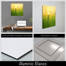 Cargar imagen en el visor de la galería, Trigo