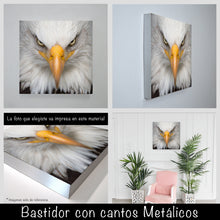 Cargar imagen en el visor de la galería, Aguila Calva