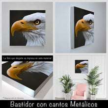 Cargar imagen en el visor de la galería, Aguila