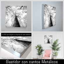 Cargar imagen en el visor de la galería, Bosque