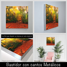 Cargar imagen en el visor de la galería, Bosque