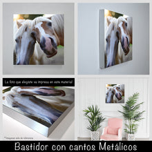 Cargar imagen en el visor de la galería, Caballos