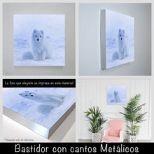 Cargar imagen en el visor de la galería, Zorro Polar