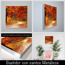 Cargar imagen en el visor de la galería, Camino