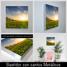 Cargar imagen en el visor de la galería, Campo