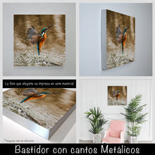 Cargar imagen en el visor de la galería, Colibrí