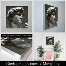 Cargar imagen en el visor de la galería, David