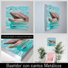 Cargar imagen en el visor de la galería, Delfín