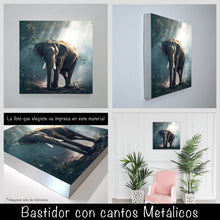 Cargar imagen en el visor de la galería, Elefante