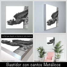 Cargar imagen en el visor de la galería, Gárgola