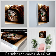 Cargar imagen en el visor de la galería, Gatito
