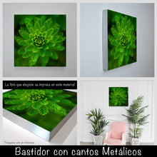 Cargar imagen en el visor de la galería, Helecho