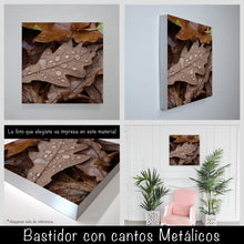 Cargar imagen en el visor de la galería, Hojas