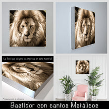 Cargar imagen en el visor de la galería, León