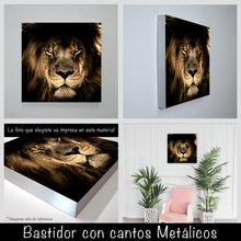 Cargar imagen en el visor de la galería, Leon Africano