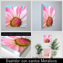 Cargar imagen en el visor de la galería, Margarita rosa