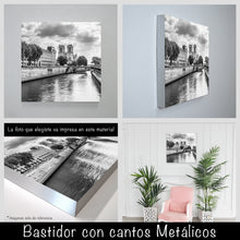 Cargar imagen en el visor de la galería, París sena