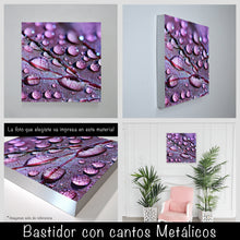 Cargar imagen en el visor de la galería, Gotas de rocío