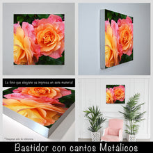 Cargar imagen en el visor de la galería, Rosas