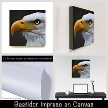 Cargar imagen en el visor de la galería, Aguila