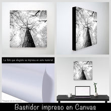 Cargar imagen en el visor de la galería, Bosque