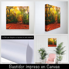 Cargar imagen en el visor de la galería, Bosque