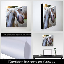 Cargar imagen en el visor de la galería, Caballos