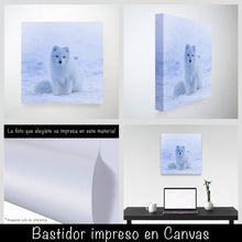 Cargar imagen en el visor de la galería, Zorro Polar