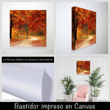 Cargar imagen en el visor de la galería, Camino