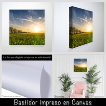 Cargar imagen en el visor de la galería, Campo