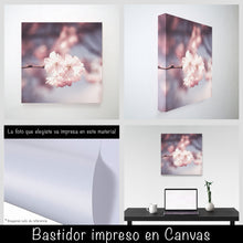 Cargar imagen en el visor de la galería, Cerezo