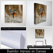 Cargar imagen en el visor de la galería, Colibrí