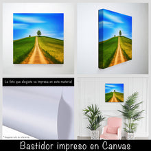 Cargar imagen en el visor de la galería, Colina