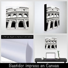 Cargar imagen en el visor de la galería, Coliseo