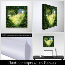 Cargar imagen en el visor de la galería, Corazón jardín