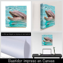 Cargar imagen en el visor de la galería, Delfín