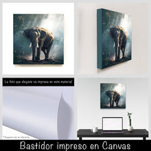 Cargar imagen en el visor de la galería, Elefante