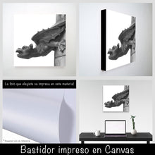 Cargar imagen en el visor de la galería, Gárgola