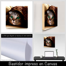 Cargar imagen en el visor de la galería, Gatito