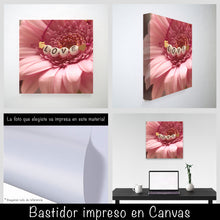 Cargar imagen en el visor de la galería, Margarita