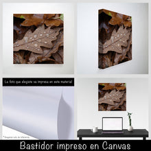Cargar imagen en el visor de la galería, Hojas