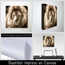 Cargar imagen en el visor de la galería, León