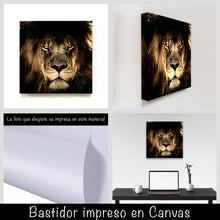 Cargar imagen en el visor de la galería, Leon Africano