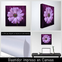 Cargar imagen en el visor de la galería, Margarita lila