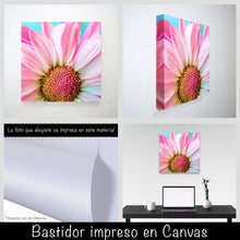Cargar imagen en el visor de la galería, Margarita rosa