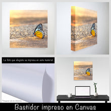 Cargar imagen en el visor de la galería, Mariposa